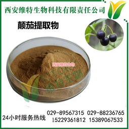 颠茄提取物 来源、应用与西安维特生物科技的高清图片展示